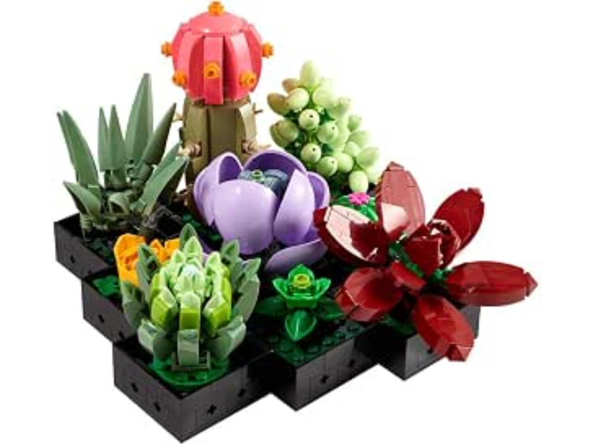 LEGO 10309 Icons Les Succulentes Plantes Artificielles d'Intérieur pour Décoration de Maison, Construisez 9 Petites Plantes, Kit Bouquet de Fleurs, Collection Botanique Adultes